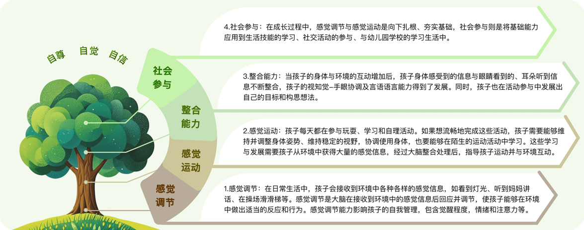DREAM-MENT domains